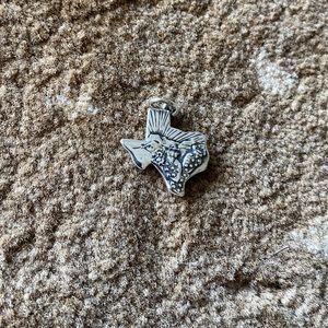 Texas Landscape Charm